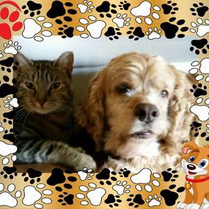 Meet your Posher, Jill